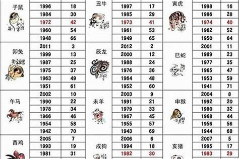 屬比狗|屬狗年份｜2024年幾歲？屬狗出生年份+歲數一